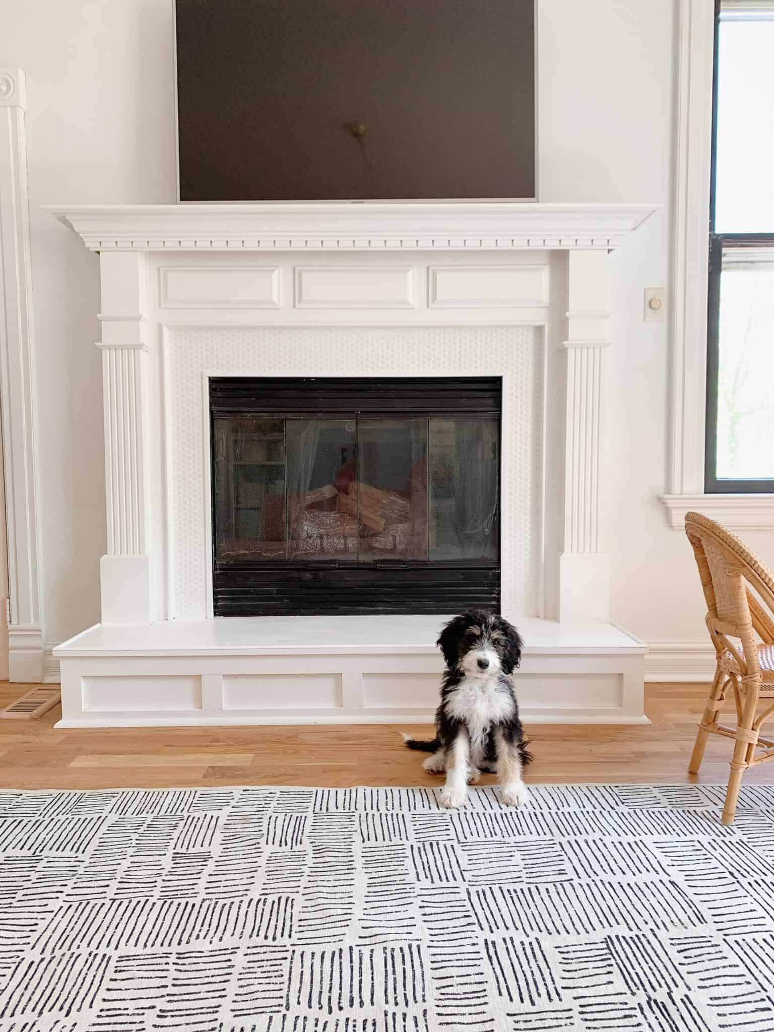 Painting Stone Fireplaces: 8 Fireplaces Where Paint Created a Cozy Vibe