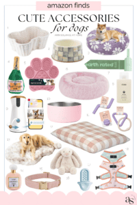 cute dog accessories
