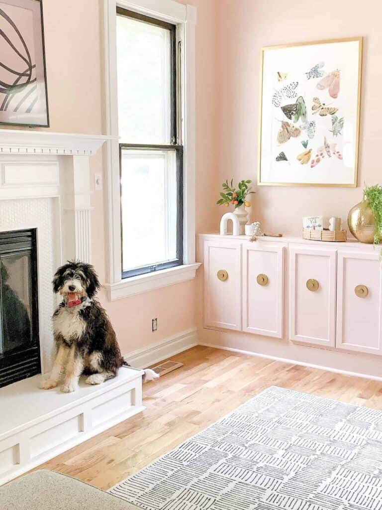 Bernedoodle dog posing on a white fireplace inside a pink playroom.