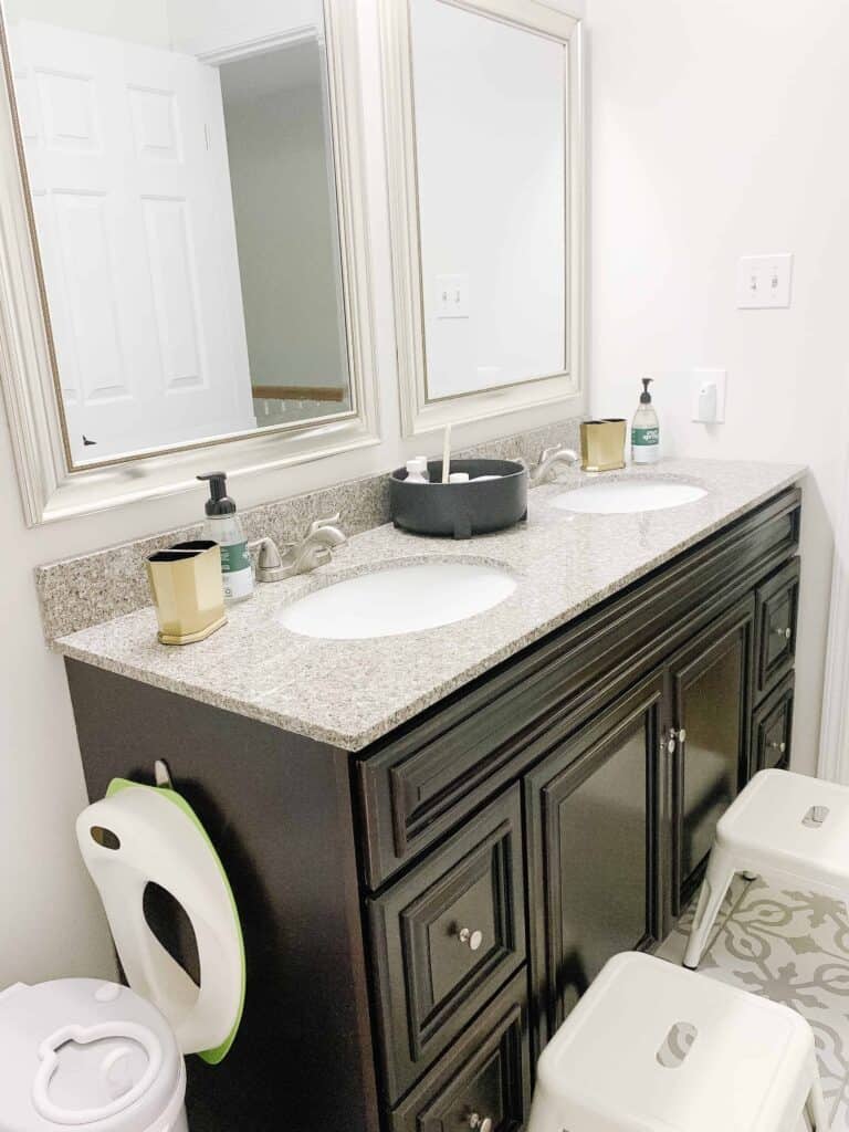Bathroom with dark cabinets and double sink vanity.