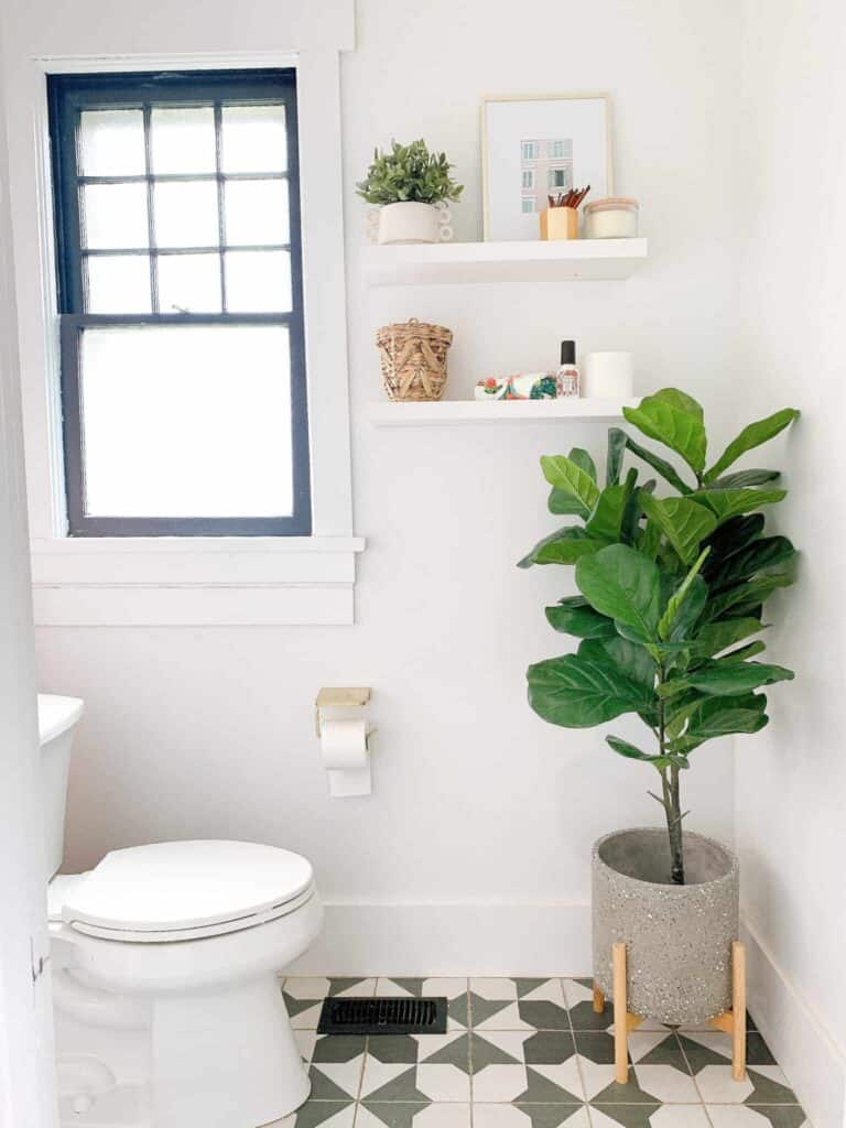 Decorative items on bathroom shelves with a faux fiddle leaf fig plant.