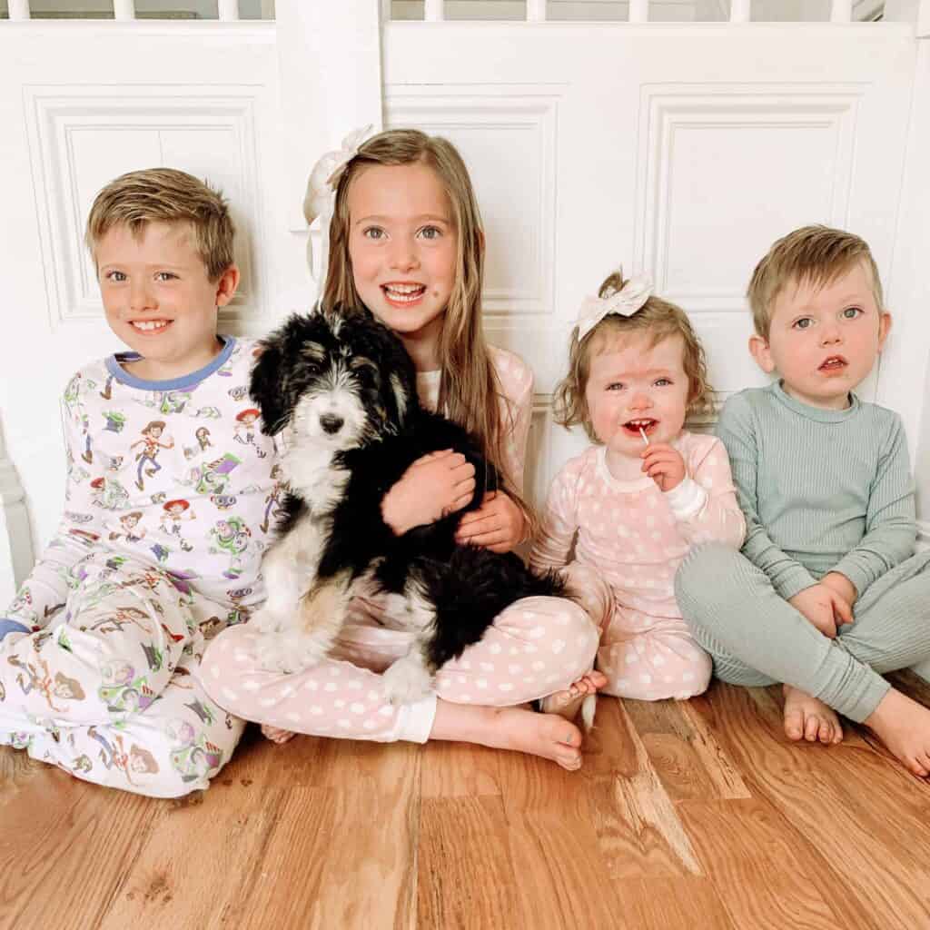 4 kids holding Bernedoodle puppy.