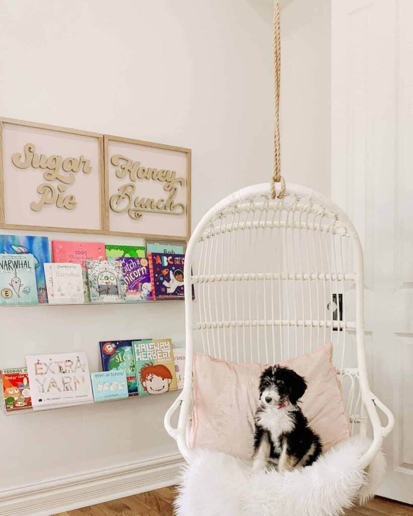 Bernedoodle puppy laying on a hanging white swing in front of clear acrylic bookshelves in a girl's room.