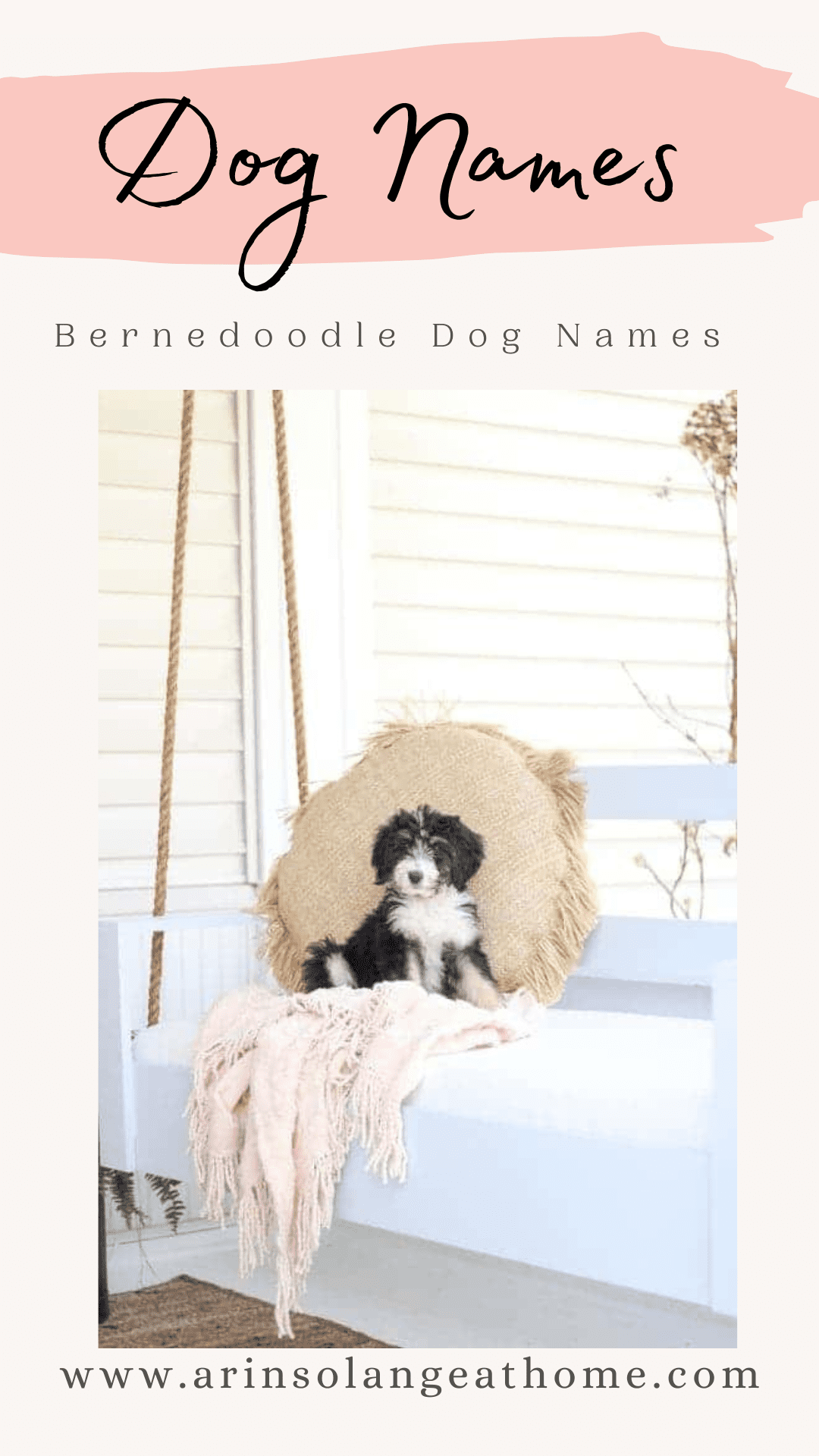 Bernedoodle Dog Names Perfect For Your Pooch arinsolangeathome