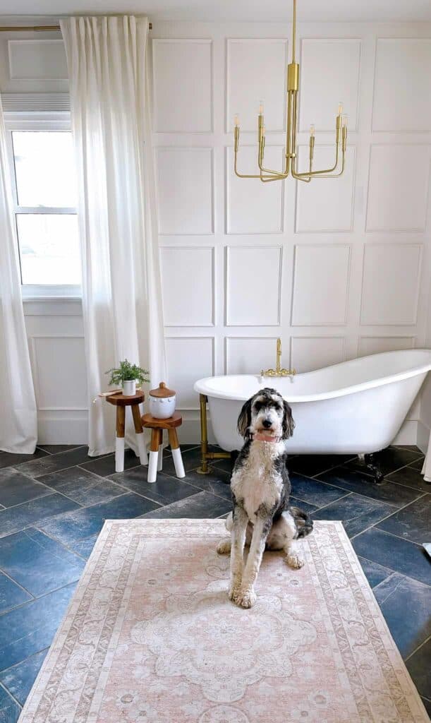 Clawfoot tub with a dog posing in front of the tub,