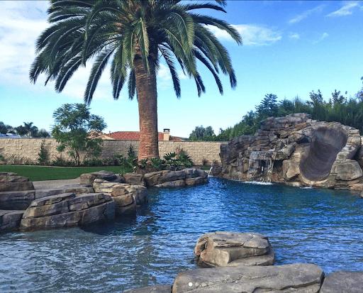 Luxury backyard pools with slides is shown here with a rock slide and large palm tree.
