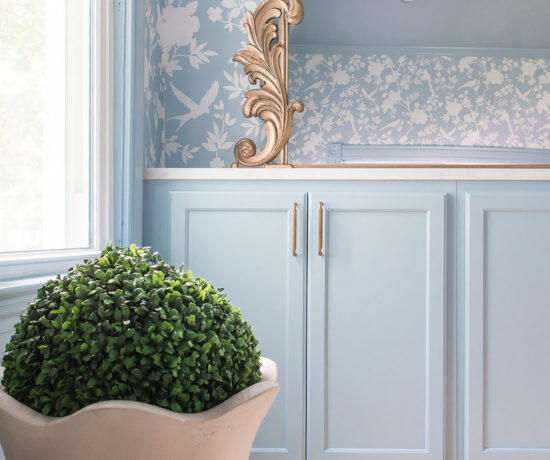 Blue Built in Cabinets