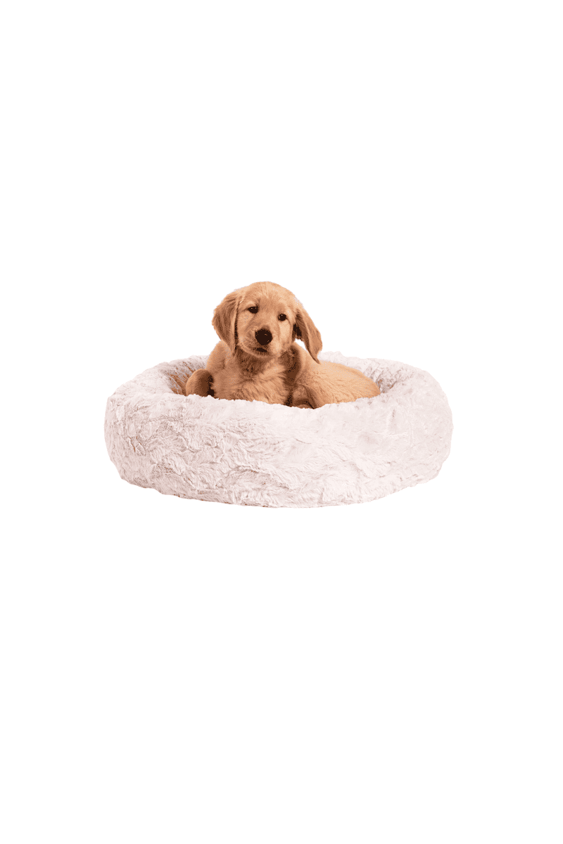 Donut Dog Bed arinsolangeathome