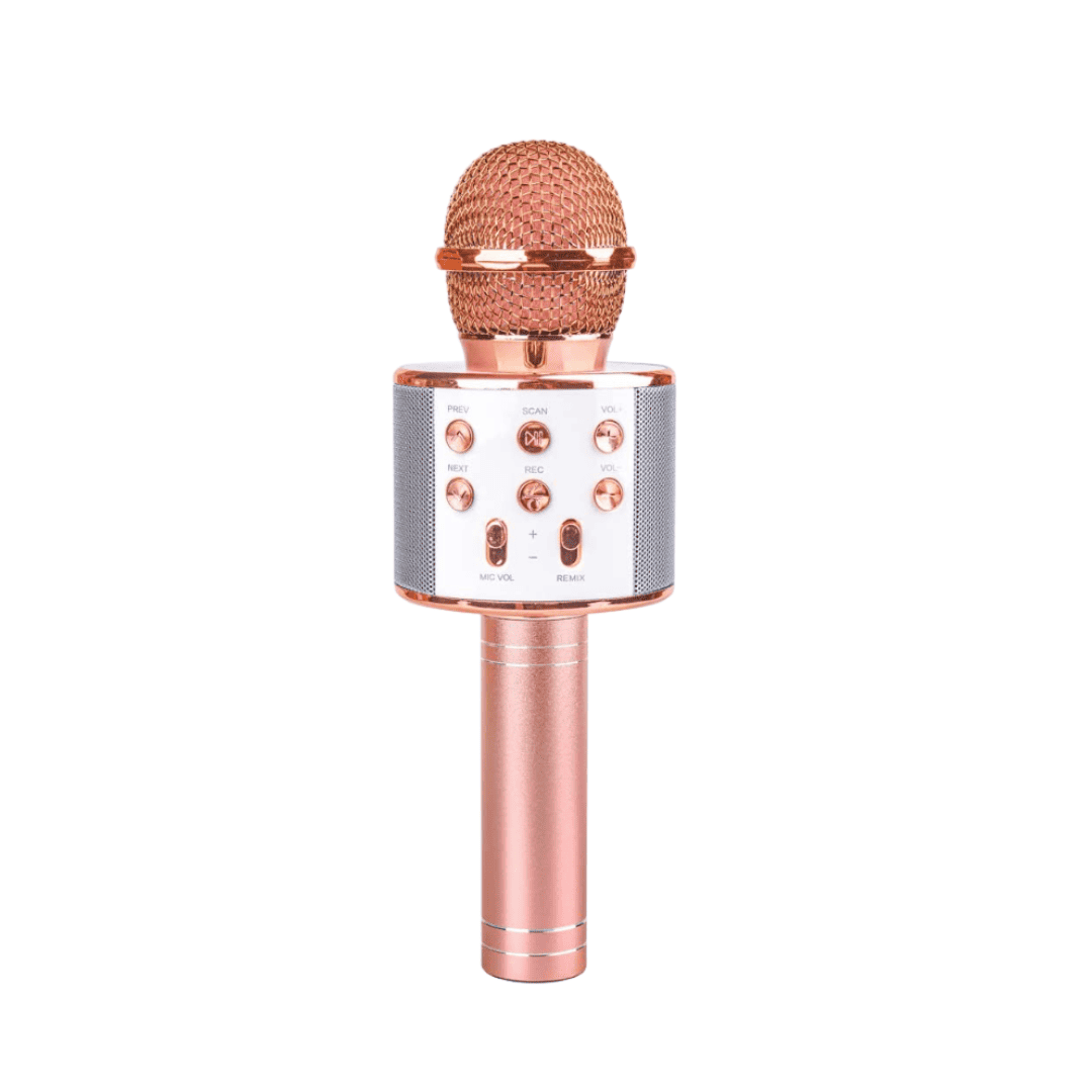 Karaoke Microphone - arinsolangeathome