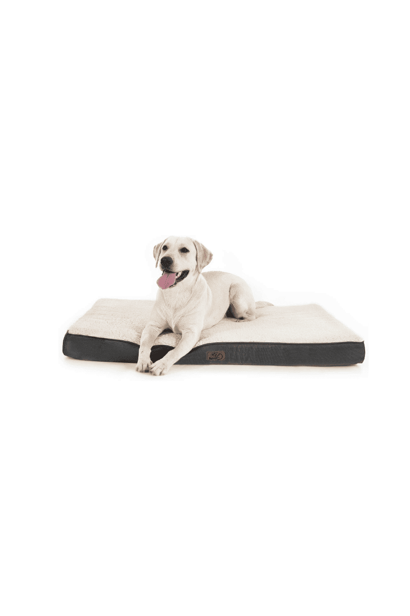 View of 10 Best Dog Beds for Golden Retrievers in 2026 - Dogster