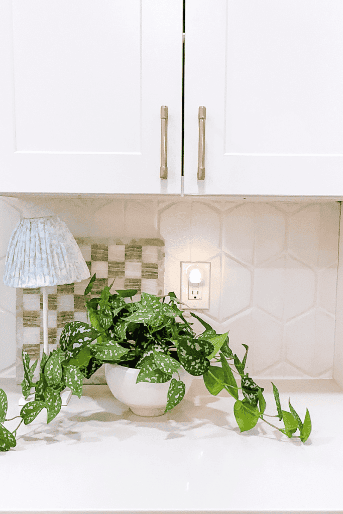 white kitchen cabinets with plant