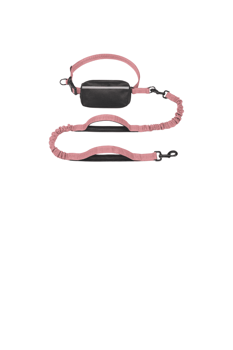 Picture of Hands Free Dog Leash with Zipper Pouch - arinsolangeathome