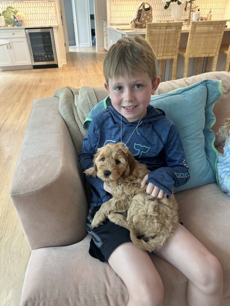 young boy with Goldendoodle puppy
