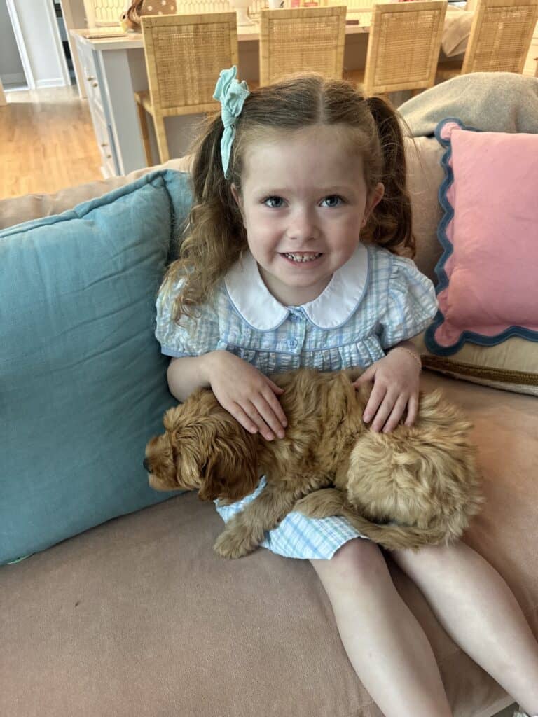 Little girl with goldendoodle puppy