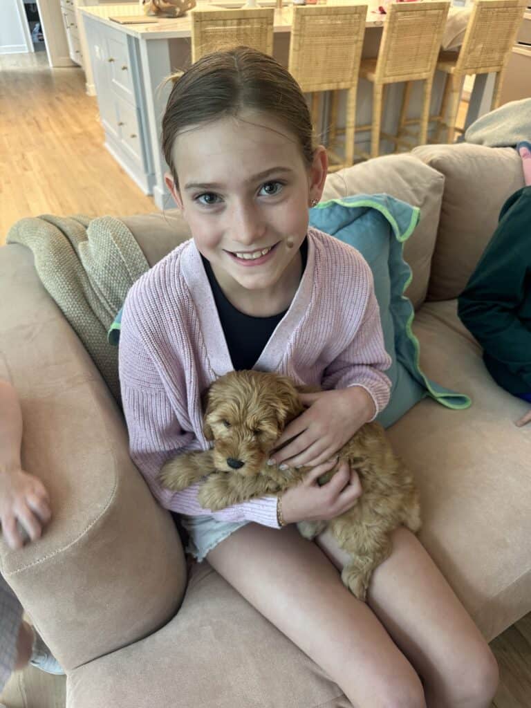 Girl and puppy goldendoodle