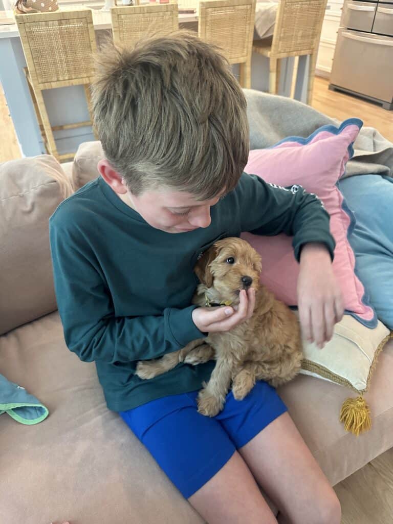 When Do Goldendoodle Puppies Stop Growing?  Boy and puppy goldendoodle