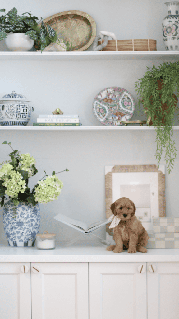 Amazon Best Sellers List April 2024 Goldendoodle puppy and built in decor