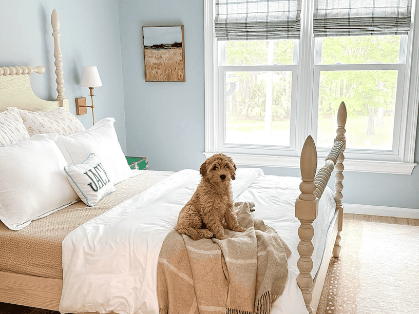 Preteen boy room bed with goldendoodle puppy